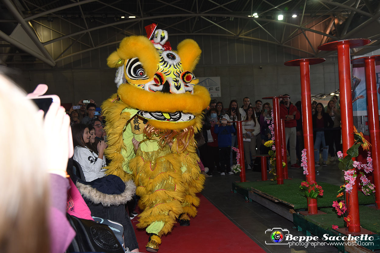 VBS_8912 - Festival dell'Oriente 2023.jpg